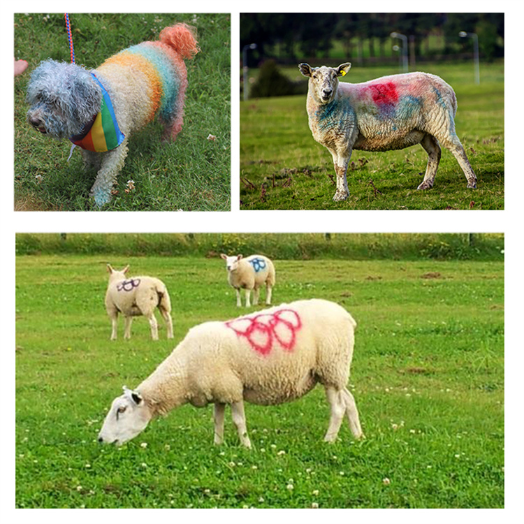 Tinta spray para marcação de ovelha vermelha Aeropak