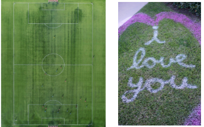 Tinta para marca&ccedil;&atilde;o de grama Aeropak c